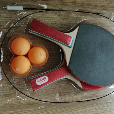 Portable Soft Shaft Table Tennis Trainer with pandles and balls